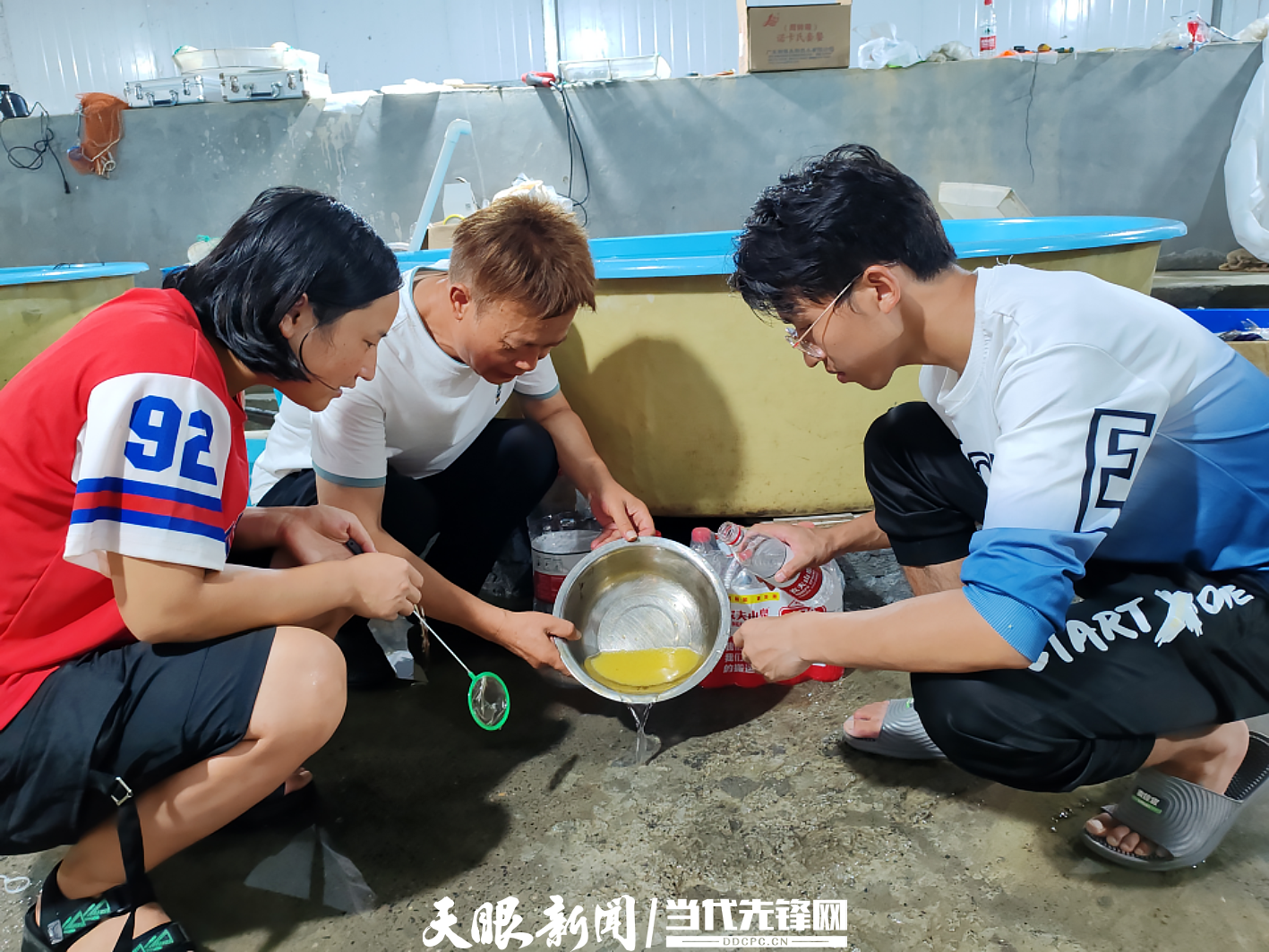 1692512316593233.png 守护江河水域生态,贵州研究团队斑鳠繁育再创佳绩220.png